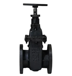 C.I. DOUBLE FLANGED SLUICE VALVE