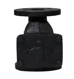 C.I. NON RETURN VALVE