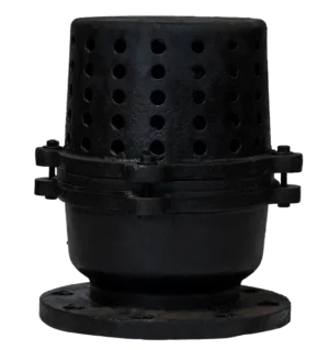 C.I. FOOT VALVE (LIFT TYPE)